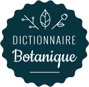 Dictionnaire botanique